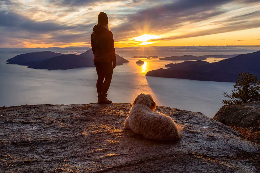 Viajar con perro en la monta&ntilde;a